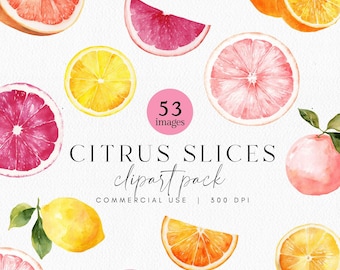 Clipart de tranche d'agrumes aquarelle, tranche de citron, orange, pamplemousse, motif d'agrumes tropicaux, limonade, jus d'orange, parfum d'agrumes, PNG d'été