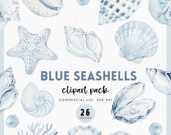 Blaue Muschel Clipart für Sea You Bald Babyparty für einen Jungen, Blaue Muschel Grafik, Königin Conch, Küstenstrand PNG, Junonia, Muschel, Auster