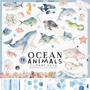 Puede incluir: Una colección de ilustraciones en acuarela con varios animales marinos, incluyendo una ballena, tiburón, delfín, pulpo, tortuga marina, caballito de mar y medusa, con el texto OCEAN ANIMALS CLIPART PACK COMMERCIAL USE 300 DPI.