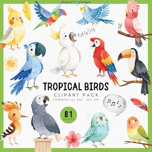 Imágenes prediseñadas de aves tropicales lindas: guacamayo de Spix de Costa Rica, periquito, cacatúa blanca, cacatúa Galah, loro amazónico, loro gris africano, tucán.