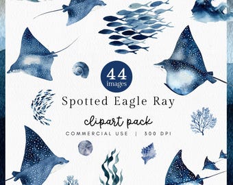 Gefleckter Adlerrochen Clipart, Aquarell, Meerestiere, Meerestiere, Taucher Grafik, Korallen Illustration, Kommerzielle Nutzung