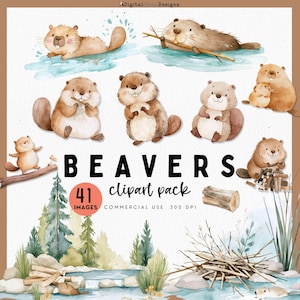 May include: Watercolor clipart pack featuring adorable cartoon beavers in various poses. The image includes beavers swimming, holding sticks, and building a dam. The text "BEAVERS clipart pack" is displayed with the number of images and commercial use information.