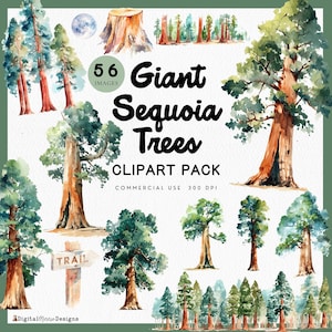 May include: Watercolor clipart pack featuring 56 images of Giant Sequoia Trees. The images include individual trees, tree stumps, and forest scenes. The text "Giant Sequoia Trees" and "Clipart Pack" are displayed in black font. The images are for commercial use.