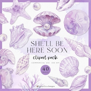 Könnte beinhalten: Aquarell-Clipart-Paket mit verschiedenen Muscheln, einem Seestern und Perlen in Lavendel- und Weißtönen. Der Text "SHE'LL BE HERE SOON", "clipart pack" und "40 images" ist zu sehen. Geeignet für Baby-Themenprojekte.