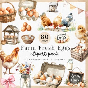 May include: Watercolor clipart pack featuring farm-fresh eggs, chickens, and a chick. The image includes eggs in baskets and cartons, a wooden stand, and a chalkboard sign that reads "Fresh Eggs". The text "Farm Fresh Eggs" is also present.