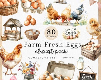Farm Fresh Eggs Clipart Pack | Watercolor Chicken Clipart, Egg Carton PNG,  Chalkboard Signs, Farm Stand Logo, Egg Stand clipart, Hen PNG