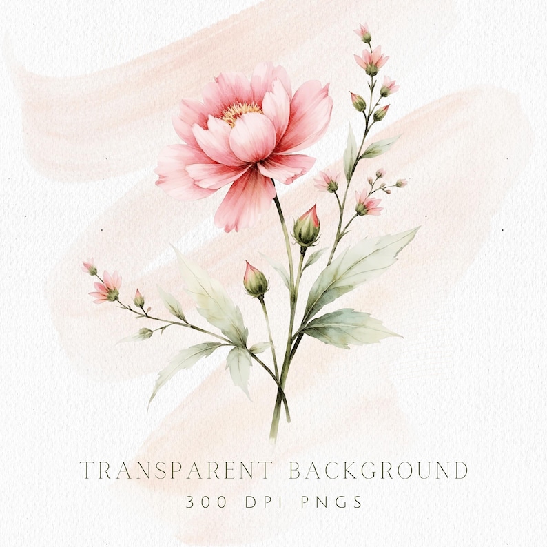 Blush Pink Floral Clipart Watercolor Soft Pink Flowers , Floral Corner ...