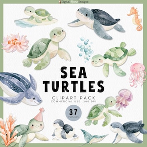 May include: A digital clipart pack featuring watercolour illustrations of sea turtles, a seahorse, jellyfish, coral, and bubbles. The text reads SEA TURTLES CLIPART PACK COMMERCIAL USE 300 DPI 37 IMAGES. The collection includes various green and blue sea creatures.