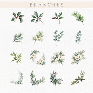 May include: Watercolor illustrations of various botanical branches, including holly with red berries, pine needles, and eucalyptus leaves. The word "BRANCHES" is written in a serif font at the top of the image.