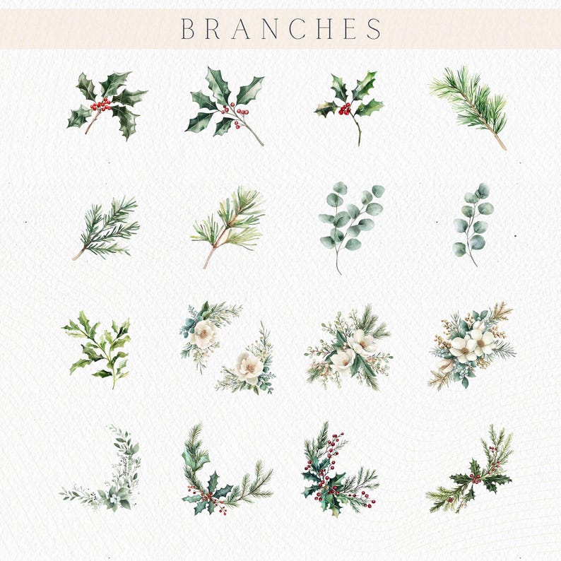 May include: Watercolor illustrations of various botanical branches, including holly with red berries, pine needles, and eucalyptus leaves. The word "BRANCHES" is written in a serif font at the top of the image.