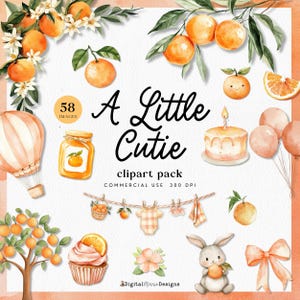 May include: A watercolour clipart pack with oranges, flowers, and baby-themed illustrations. Includes a hot air balloon, cake, bunny, and baby clothes. The text reads "A Little Cutie" and "58 Images".