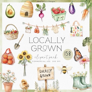 May include: Watercolor clipart pack featuring various garden and farm elements. Includes illustrations of fruits, vegetables, a beehive, sunflowers, a chick, and the text "Locally Grown". Perfect for crafting and design projects.