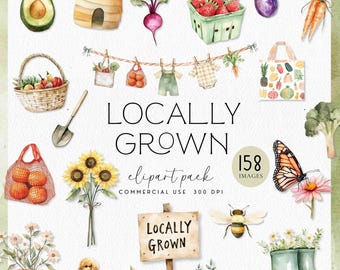 Lokal gewachsene Babyparty Clipart, Aquarell Bauernmarkt Baby PNGs, kleiner Sprössling Clipart Bundle, kommerzielle Nutzung, digitaler Download