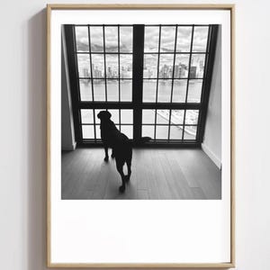 Dog Photo Print - NYC City View - B&W