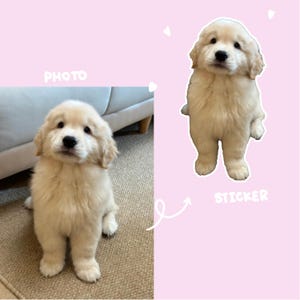 Transformez votre photo en autocollant - Autocollants en vinyle personnalisés représentant des animaux de compagnie, des membres de la famille ou des amis - Idée cadeau unique