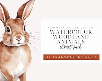 Watercolor Woodland Animals PNG | Cute Forest Creatures Clipart | Animal Illustrations | Digital Download | Transparent Background