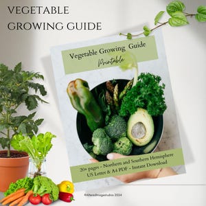 May include: A printable vegetable growing guide with a green cover and a photo of a bowl of fresh vegetables, including broccoli, asparagus, avocado, and peppers. The text on the cover reads "Vegetable Growing Guide Printable 20+ pages - Northern and Southern Hemisphere US Letter & A4 PDF - Instant Download ©Alteredimagestudios 2024".
