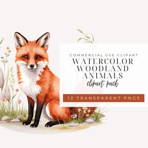 May include: Watercolor clipart pack of woodland animals. The image shows a fox sitting in a field of flowers. The text on the image reads "COMMERCIAL USE CLIPART WATERCOLOR WOODLAND ANIMALS clipart pack 12 TRANSPARENT PNGS".