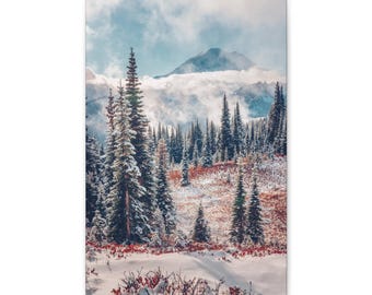 Lebhafter verschneiter Berg Rainier 2