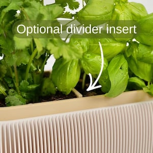 May include: A close-up of a rectangular planter with green herbs and the text "Optional divider insert". The planter has a cream-colored rim and a ribbed, light pink exterior. The herbs include basil and cilantro.