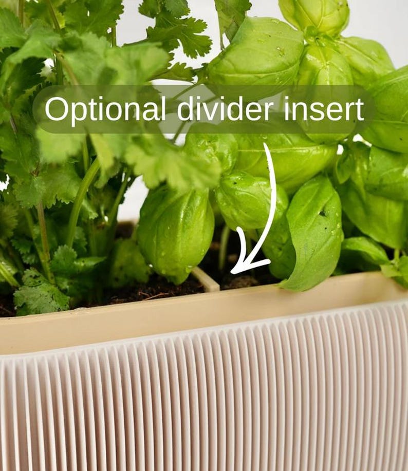 May include: A close-up of a rectangular planter with green herbs and the text "Optional divider insert". The planter has a cream-colored rim and a ribbed, light pink exterior. The herbs include basil and cilantro.