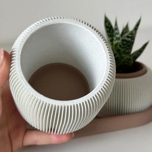 May include: A white, ribbed, cylindrical planter with a light brown interior is held in a hand. Another planter and a small succulent plant are in the background. The planters have a modern, minimalist design.