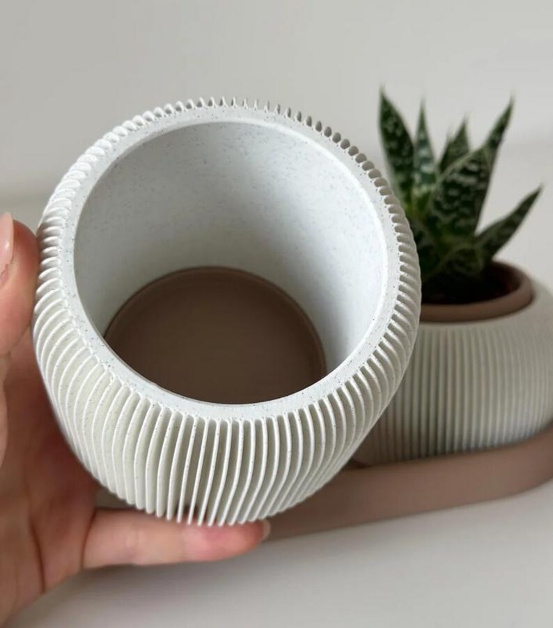 May include: A white, ribbed, cylindrical planter with a light brown interior is held in a hand. Another planter and a small succulent plant are in the background. The planters have a modern, minimalist design.
