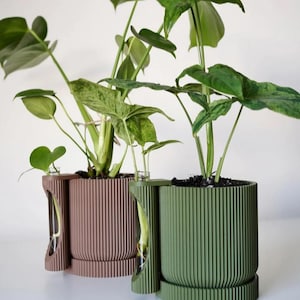 Może przedstawiać: Dwie nowoczesne, żebrowane donice w kolorze brązowym i zielonym, każda z bujnymi zielonymi roślinami. Donice mają unikalny design z zakrzywioną boczną sekcją do eksponowania sadzonek. Rośliny mają duże, teksturowane liście.