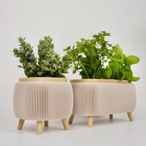 May include: Two beige, ribbed planters with light wood trim and legs, each holding green herbs. One planter is round, the other is rectangular. The planters are set against a white background, showcasing a modern, minimalist design.