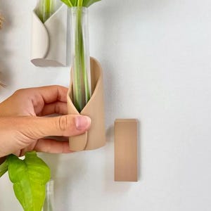 May include: A wall-mounted propagation station featuring a beige, curved, wrap-around holder containing a clear glass test tube. A green plant cutting is placed inside the tube. A separate, solid beige rectangular block is mounted on the wall nearby.