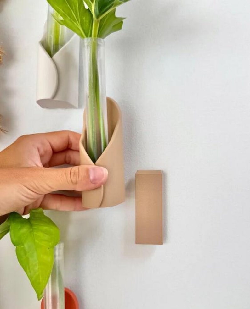 May include: A wall-mounted propagation station featuring a beige, curved, wrap-around holder containing a clear glass test tube. A green plant cutting is placed inside the tube. A separate, solid beige rectangular block is mounted on the wall nearby.