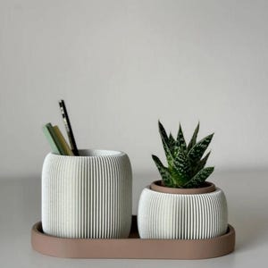 May include: A white ribbed planter set with a small succulent plant and a pencil holder with pencils and pens. The set sits on a brown tray. The succulent has green and white speckled leaves.