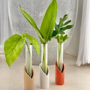 May include: Three clear glass test tube vases held in cylindrical stands coloured tan, white, and terracotta. Each vase contains a single green plant cutting with distinct leaf shapes, including a broad leaf and a serrated leaf, submerged in water.