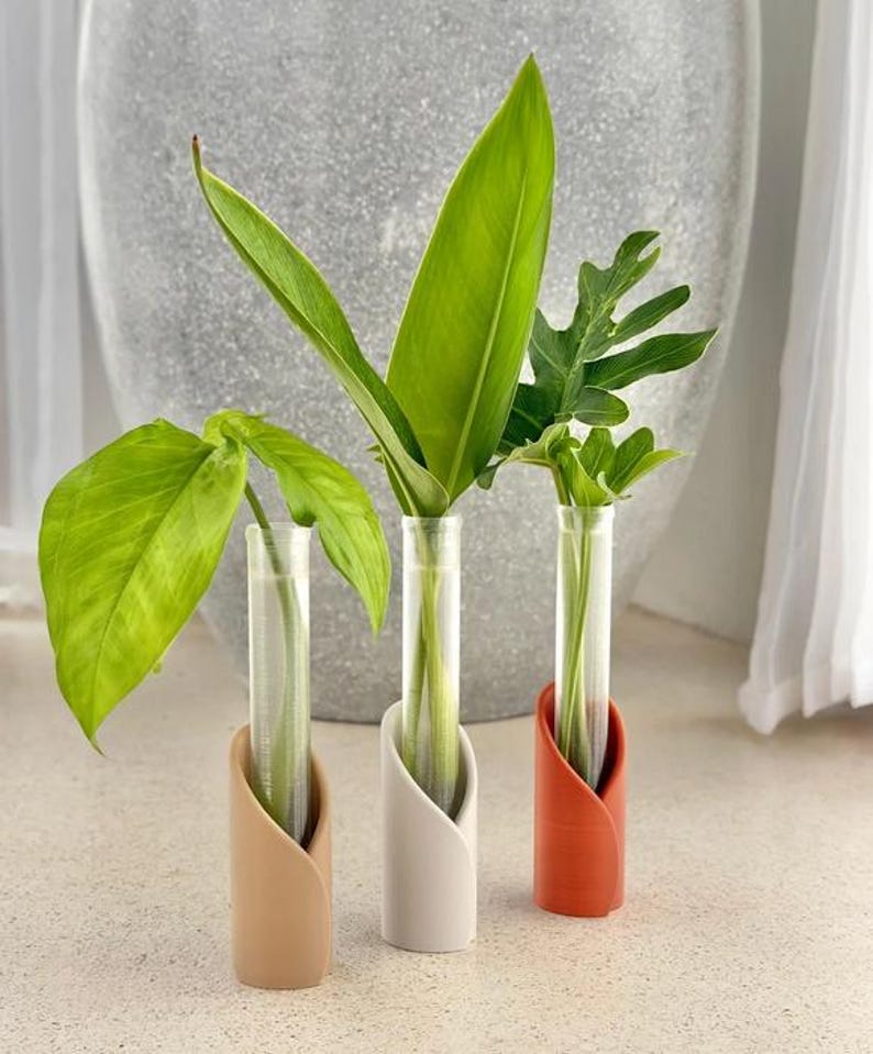 May include: Three clear glass test tube vases held in cylindrical stands coloured tan, white, and terracotta. Each vase contains a single green plant cutting with distinct leaf shapes, including a broad leaf and a serrated leaf, submerged in water.