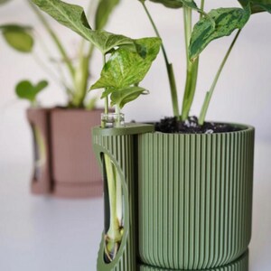 May include: A green ribbed planter with a built-in propagation station, holding a plant with variegated green leaves. The planter is cylindrical and has a matching base. Another similar planter in a brown hue is slightly out of focus in the background.