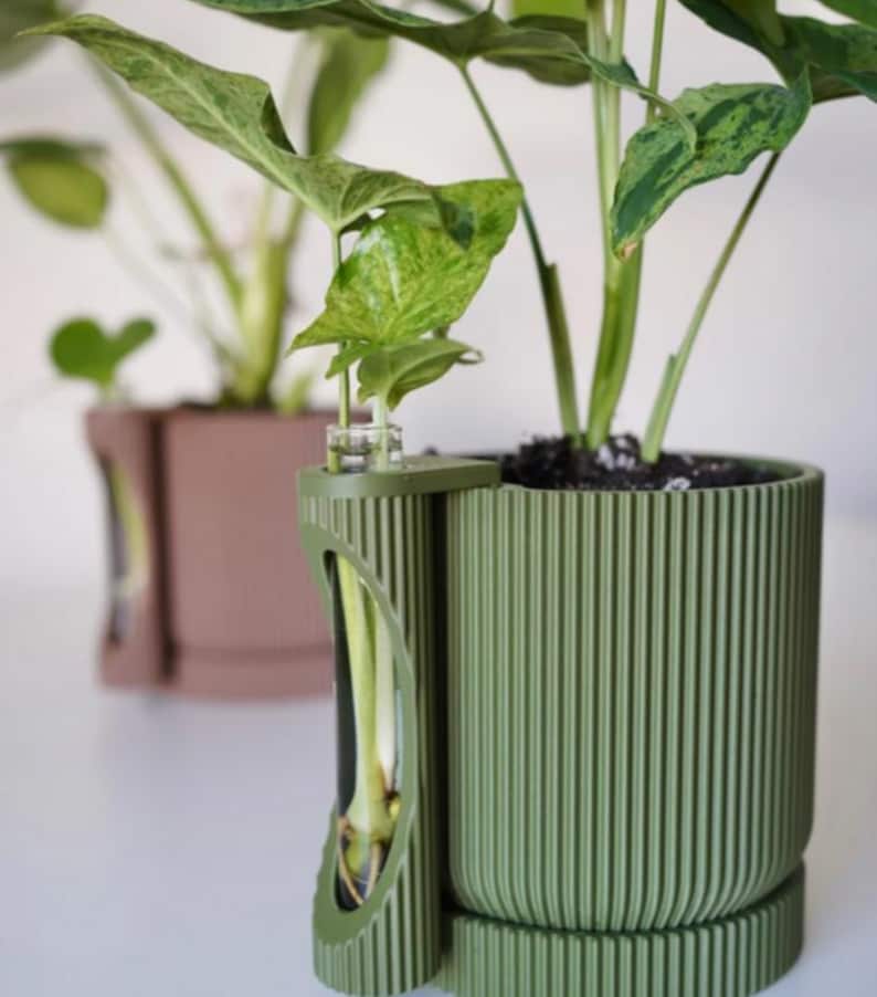 May include: A green ribbed planter with a built-in propagation station, holding a plant with variegated green leaves. The planter is cylindrical and has a matching base. Another similar planter in a brown hue is slightly out of focus in the background.