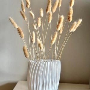 EPHYX Vase – Modern Minimalist Home Decor image 1