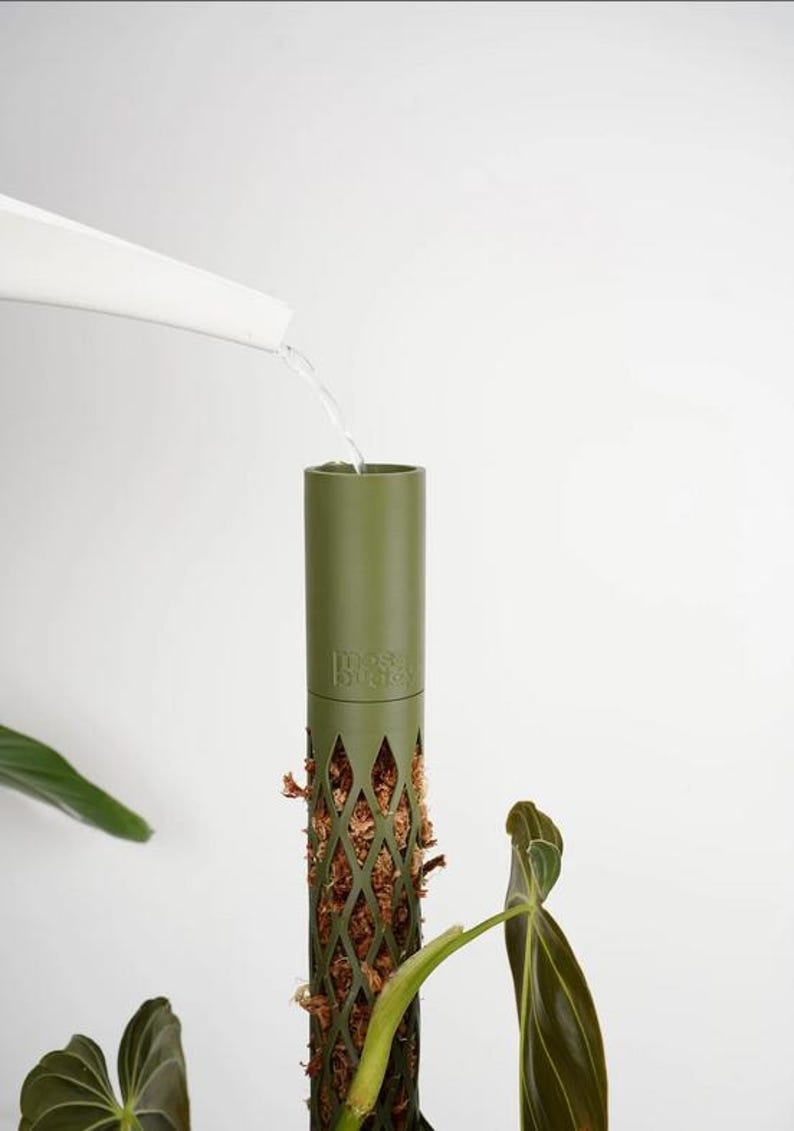 May include: An olive green plant support pole with a diamond-patterned lower section filled with brown moss. Water is being poured into the top of the pole from a white watering can. The text "moss buddy" is visible on the pole.