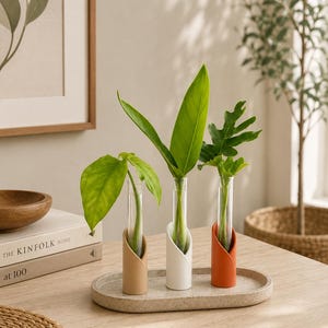 May include: Three clear glass test tube vases held in cylindrical stands of beige, white, and terracotta colours, arranged on an oval speckled tray. Each vase contains a single green plant cutting with distinct leaf shapes and sizes.