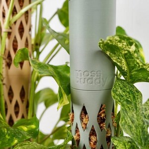 May include: A light green cylindrical plant support with the text "moss buddy" embossed on the side. The support has diamond-shaped cutouts and is filled with brown moss. Lush green and yellow-green leaves surround the support.