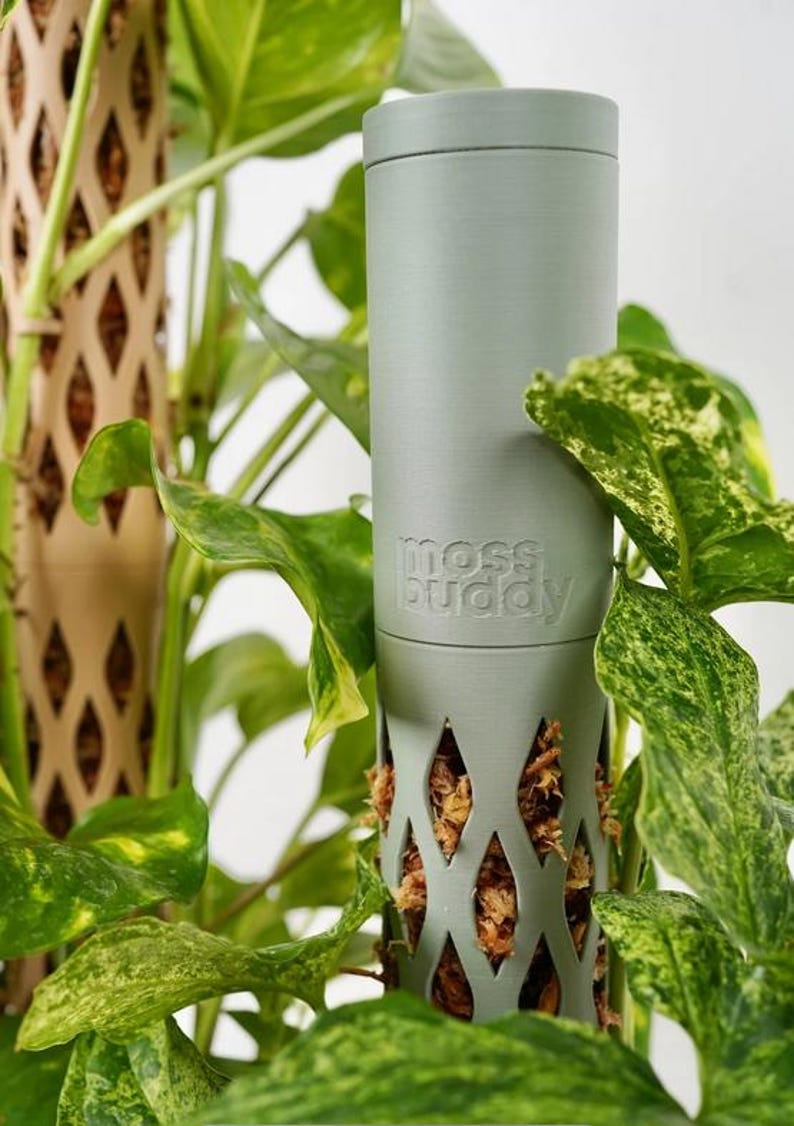 May include: A light green cylindrical plant support with the text "moss buddy" embossed on the side. The support has diamond-shaped cutouts and is filled with brown moss. Lush green and yellow-green leaves surround the support.