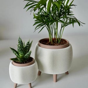 Op de afbeelding: Twee witte, geribbelde bloempotten met planten. De potten hebben een lichtbruine rand en drie kleine pootjes. Eén pot bevat een groen-wit gevlekte vetplant, de andere een hogere groene plant.