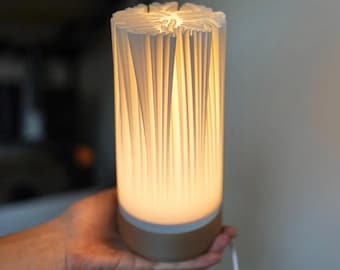 May include: A cylindrical table lamp with a pleated white shade and a warm, glowing interior. The base is a light brown color. The lamp is held in a person's hand, and a white cord extends from the base.