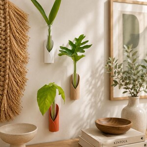 May include: Three wall-mounted plant propagation stations, each featuring a clear glass test tube held by a curved, petal-shaped holder in white, beige, and terracotta colours, with green leaves placed inside each glass tube for display.