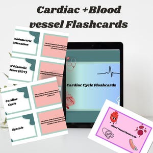 Cartes éclair sur les vaisseaux sanguins et le cœur