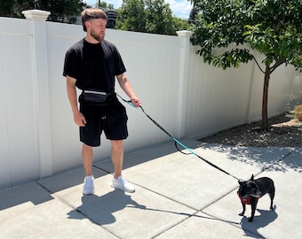 Hands Free Dog Leash