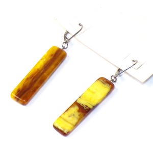 Sobral Terra Earth Hues Dangling Artist Made Post Earrings