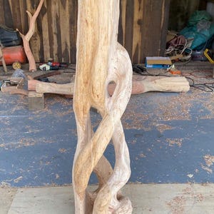 Twisted Vine Wooden Floor Lamp - Handcrafted Driftwood Standing Light With Leaf Shade image 4