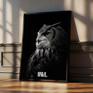 Black and White Owl Print: Mysterious Wildlife Art, Monochrome Bird Decor