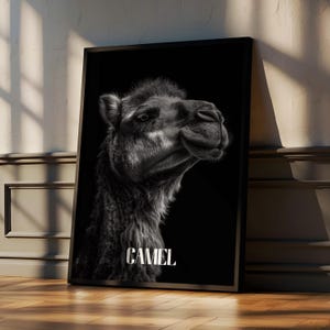 Black and White Camel Print: Desert Wildlife Poster, Monochrome Animal Decor